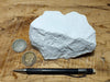 tuff - very pure lithified white volcanic ash mined for Old Dutch Cleanser - teaching hand specimen