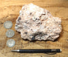 tuff breccia - display specimen of a spectacular tuff breccia with a variety of clast types embedded in the pinkish ash