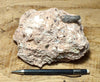 tuff breccia - display specimen of a spectacular tuff breccia with a variety of clast types embedded in the pinkish ash