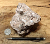 tuff breccia - hand/display specimen of a spectacular pink tuff breccia