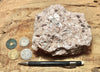 tuff breccia - hand/display specimen of a spectacular pink tuff breccia