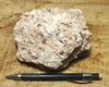tuff breccia - hand/display specimen of a spectacular pink tuff breccia