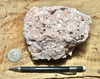 tuff breccia - hand/display specimen of a spectacular pink tuff breccia