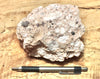 tuff breccia - hand/display specimen of a spectacular pink tuff breccia