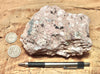 tuff breccia - hand/display specimen of a spectacular pink tuff breccia