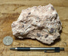 tuff breccia - hand/display specimen of a spectacular pink tuff breccia