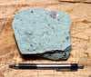 tuff - copper-stained green welded tuff - teaching hand/display specimen