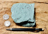 tuff - copper-stained green welded tuff - teaching hand/display specimen