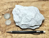 tuff - very pure lithified white volcanic ash mined for Old Dutch Cleanser - teaching hand specimen