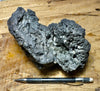 basalt - vesicular basalt polished by wind-blown sand - display specimen