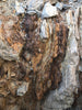 limonite -  teaching student specimens of limonite partly converted to yellow ochre  - UNIT OF 5 SPECIMENS