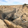 bituminous coal - Bronco Mine, Emery County, Utah - hand specimen