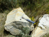 oil shale - student specimens of oil shale from the Green River Formation in Parachute Canyon, Colorado - Unit of 5 specimens