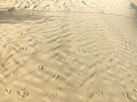 Sand Textures - Desert Sand 250ml