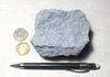 sandstone - teaching hand specimen of a blue weakly-lithified Pliocene sandstone from the Kettleman Hills of California