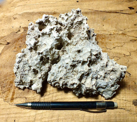 caliche - caliche formed in uplifted Pleistocene lake beds, uncovered and partly dissolved by acidic rain - large hand/display specimen