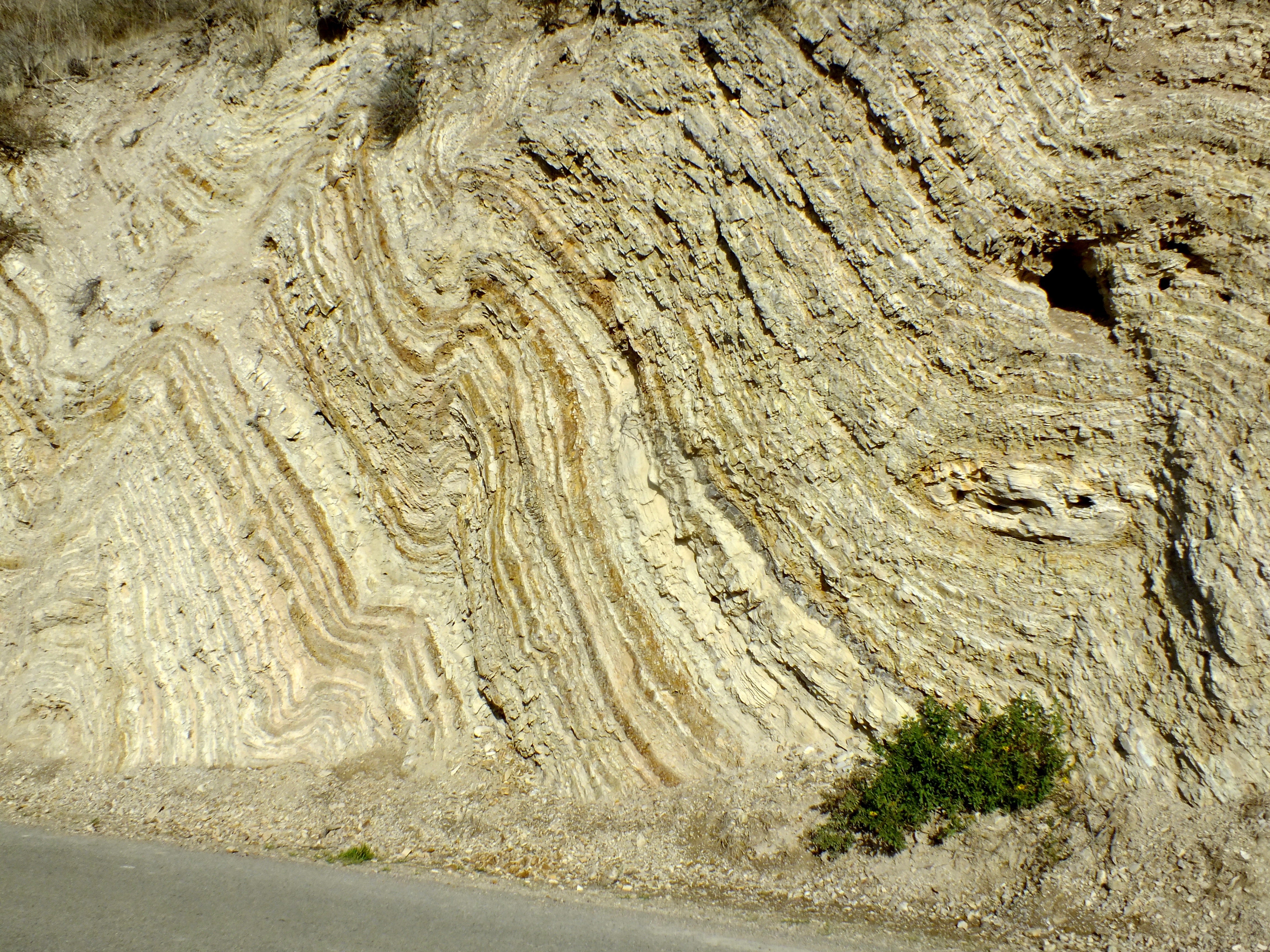 Monterey Formation – Geological Specimen Supply
