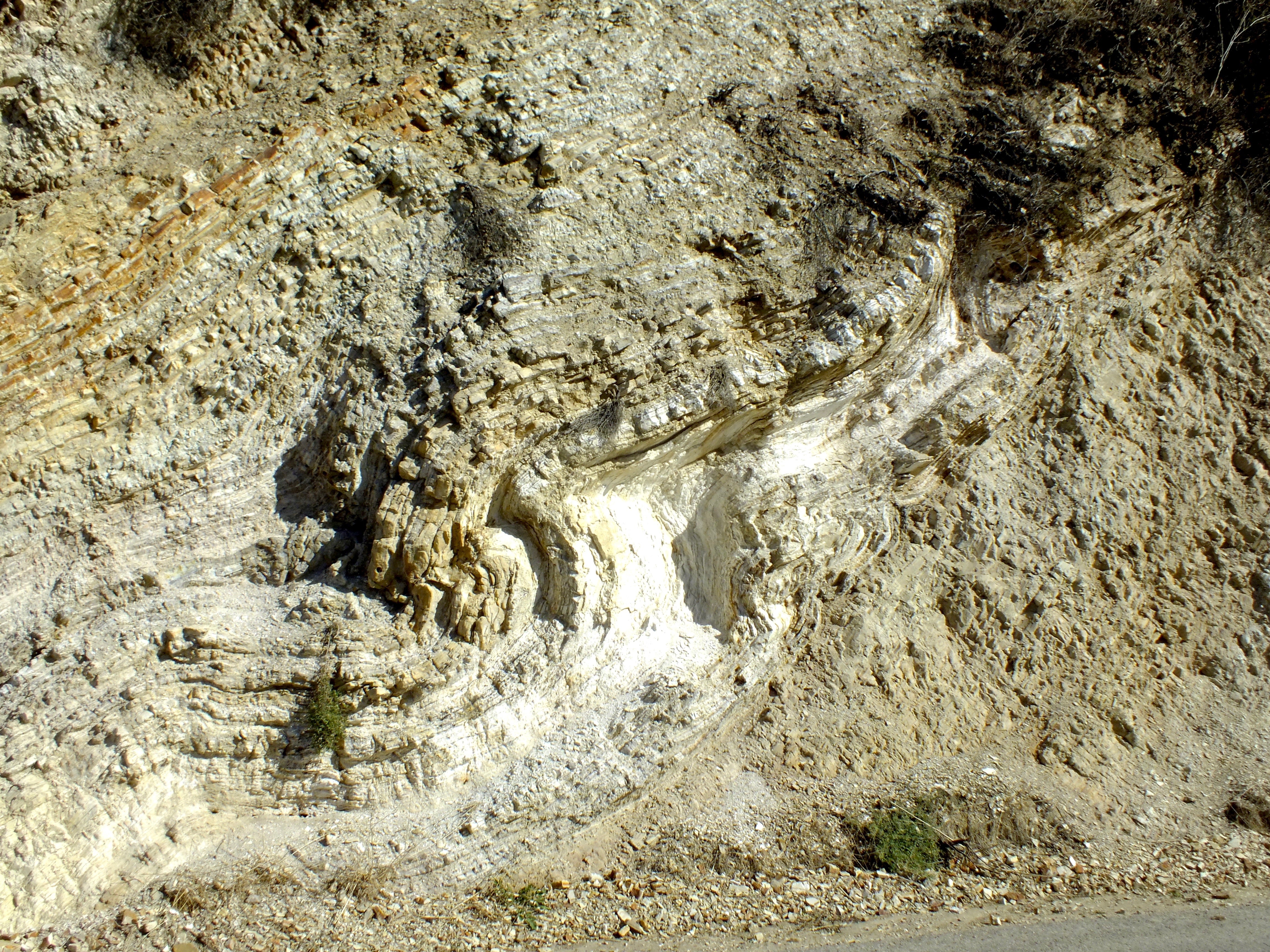 Monterey Formation – Geological Specimen Supply