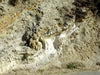 shale - teaching hand specimen of light tan diatomaceous shale from the Monterey Formation, Santa Barbara Co., California 