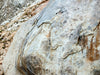 granite - teaching student specimens of typical granite  UNIT OF 5 SPECIMENS 