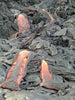 Pahoehoe - hand/display specimen of ropy lava from the Kilauea 1990 East Rift Zone eruption 