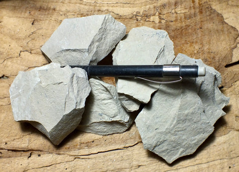 limestone - student specimens of a tan to gray silty limestone from the Jurassic Carmel Formation of Utah - Unit of 5 specimens