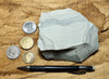 limestone - very light tan lacustrine limestone from the Eocene Green River Formation - teaching hand specimen