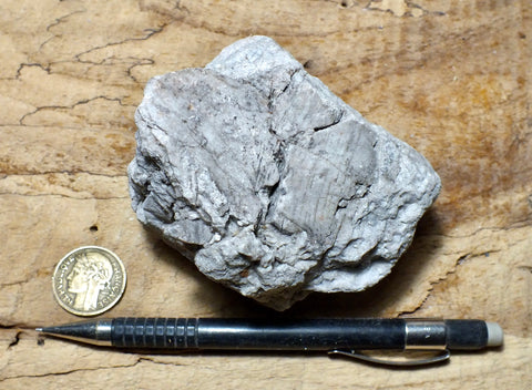 perlite - teaching hand/display specimen of gray perlite ore - an amorphous hydrated glass