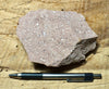 rhyolite porphyry - light pink rhyolite with small phenocrysts - hand specimen