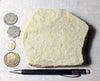 sandstone - fine grained buff Dakota Sandstone from the Dakota aquifer - Lower Cretaceous near Vernal, Utah - teaching hand specimen