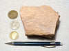 sandstone - Coconino Sandstone - aeolian quartz arenite from northern Arizona - hand/display specimen
