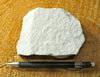 sandstone  -  teaching hand specimen of Jurassic fine-grained white Navajo Sandstone, naturally bleached by reducing fluids 