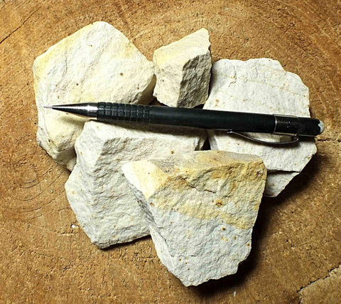 sandstone - fine grained arkosic Miocene sandstone - teaching student specimens - UNIT OF 5 SPECIMENS 