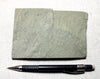 shale - hard green Lower Cambrian shale from the Harkless Formation - teaching hand specimen