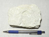 shale -  teaching hand specimen of soft light tan diatomaceous shale from the Upper Miocene Modelo Formation of California 
