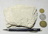 shale -  teaching hand specimen of soft light tan diatomaceous shale from the Upper Miocene Modelo Formation of California 