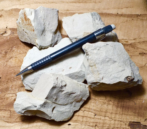 siltstone - teaching student specimens of tan siltstone from the Round Mountain unit of the Temblor Formation - UNIT OF 5 SPECIMENS