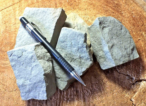 siltstone  -  teaching student specimens of a gray Miocene siltstone from the Ridge Basin, California   UNIT OF 5 SPECIMENS 